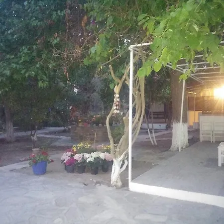 Gazde/Camere de închiriat Zemda Mandalin *